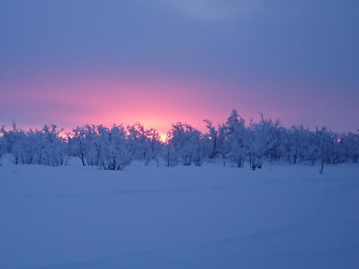 Mattarahkka Northern Light Lodge Kiruna Zewnętrze zdjęcie